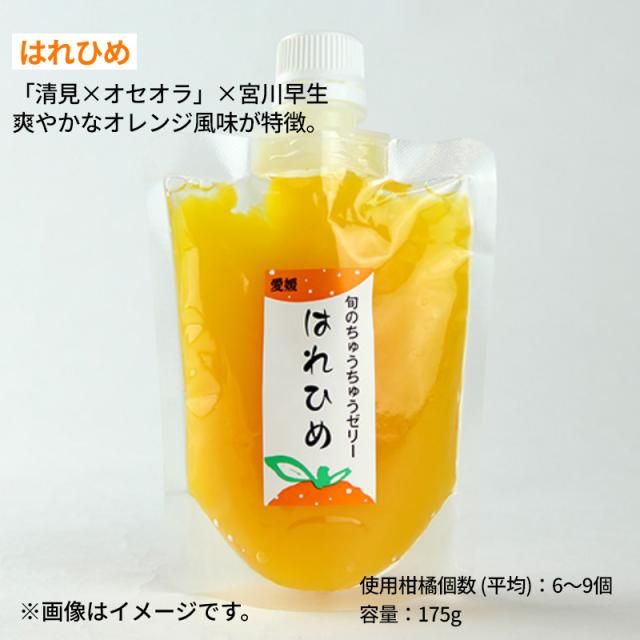 画像8