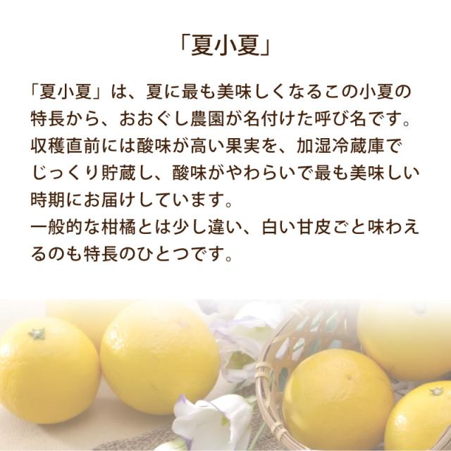 画像11