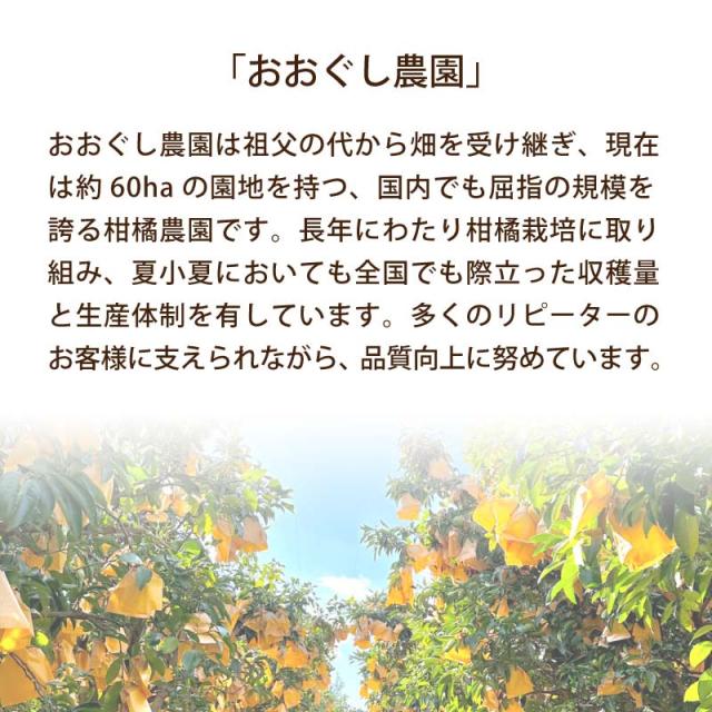 画像12