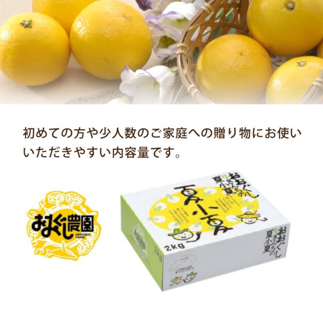 画像13