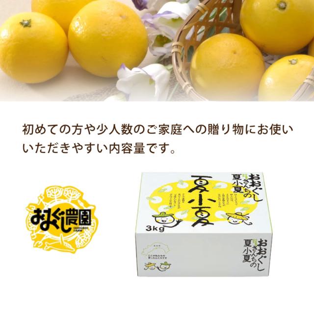 画像13