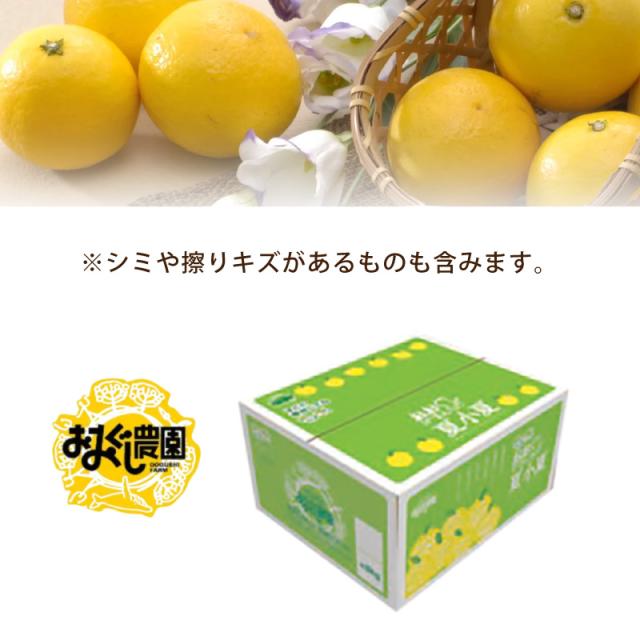 画像13