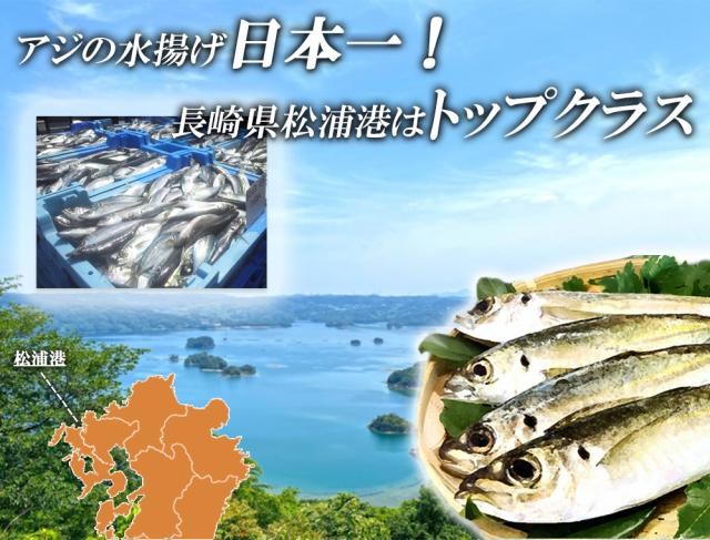 アジフライ 松浦 国産 冷凍 あじフライ 1P 500g (14枚入り) 送料無料 骨取り 骨なし 真アジ あじ アジ 鯵 簡単調理 お弁当 おかず 冷凍食品 国内製造 ご家庭用 伊藤家の食卓