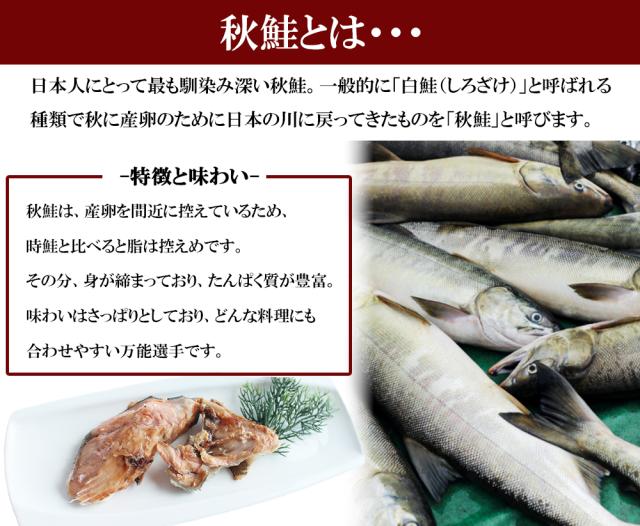 秋鮭 秋鮭カマ 1kg (1P/500) 送料無料 カマ切り身 鮭切り身 切り身 鮭 シャケ 魚 焼き魚 おかず お弁当 北海道産 伊藤家の食卓