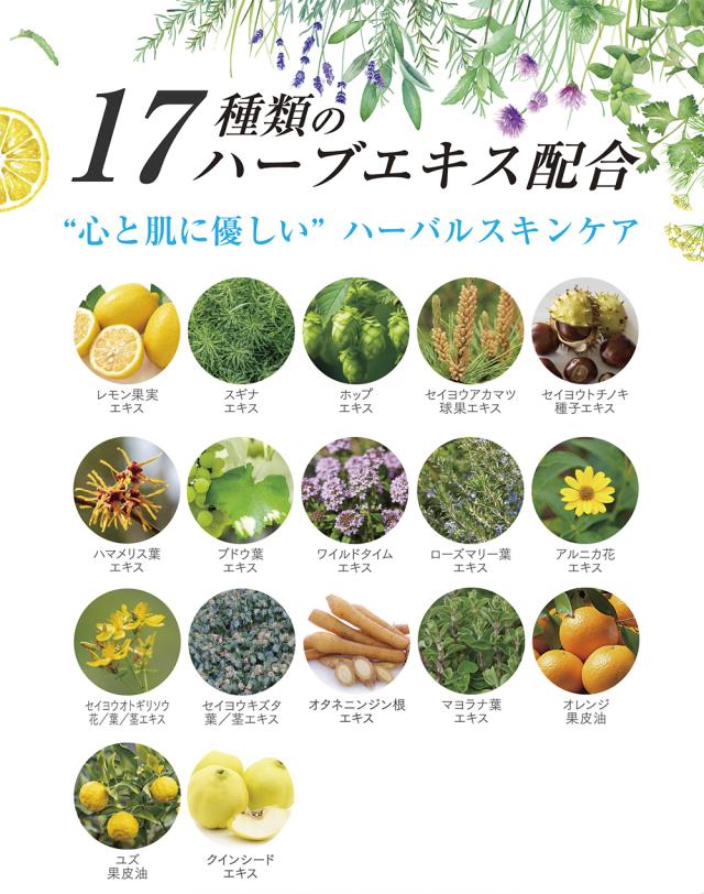 オールインワンジェル 美容クリーム アモリズ 50g 送料無料 化粧水 乳液 美容液 17種類のハーブエキス配合 5種類のセラミド コラーゲン 保湿 潤い肌 ハリのある肌 国内製造 国産