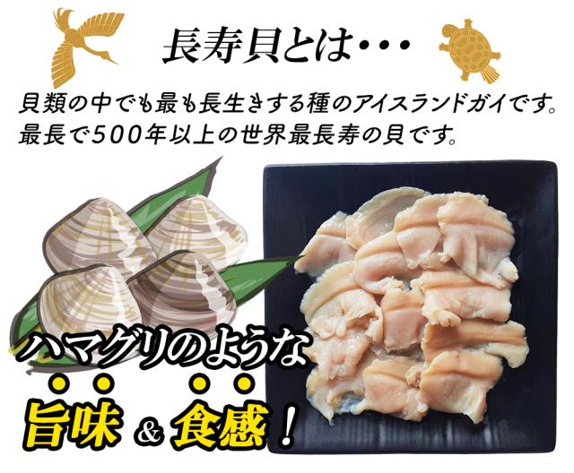 貝 長寿貝 500g 1P 送料無料 ちょうじゅ貝 アイスランド貝 ハマグリのような旨味 お刺身 生食用 冷凍 魚介 海鮮 カナダ産 伊藤家の食卓