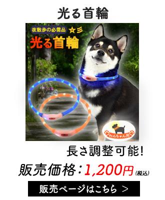 光る首輪