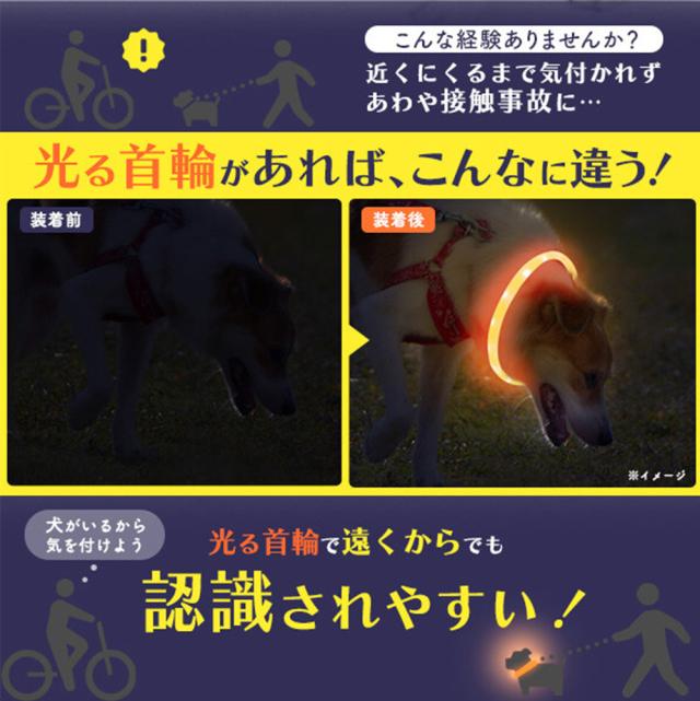 首輪 犬 光る首輪 送料無料 犬の首輪 犬用品夜間発光首輪 USB充電式 LEDライト 散歩 安全 ドッググッズ 安全グッズ 夜用 軽量 くびわ 犬 夜散歩 ITFC