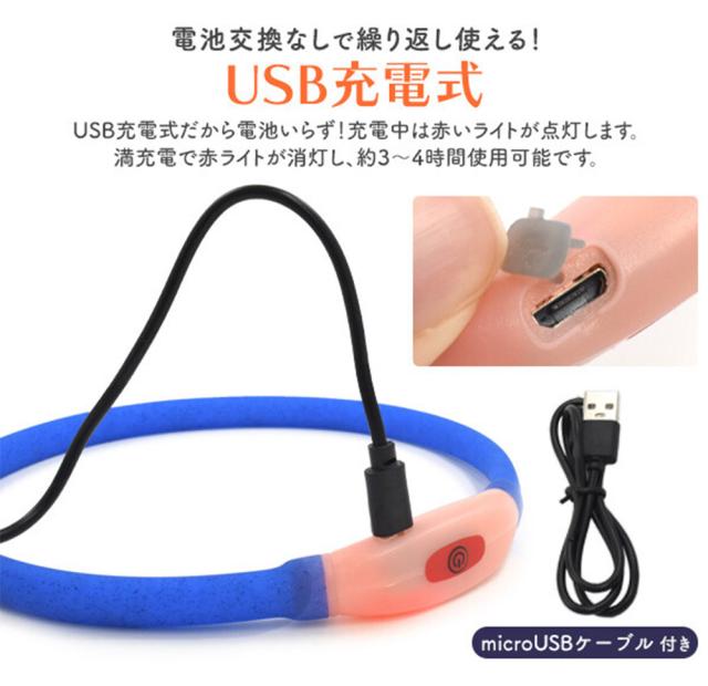 首輪 犬 光る首輪 送料無料 犬の首輪 犬用品夜間発光首輪 USB充電式 LEDライト 散歩 安全 ドッググッズ 安全グッズ 夜用 軽量 くびわ 犬 夜散歩 ITFC
