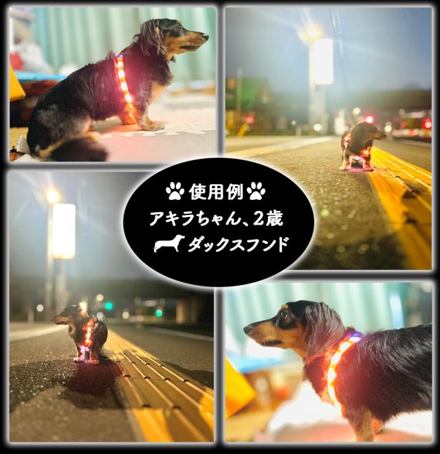 首輪 犬 光る首輪 送料無料 犬の首輪 犬用品夜間発光首輪 USB充電式 LEDライト 散歩 安全 ドッググッズ 安全グッズ 夜用 軽量 くびわ 犬 夜散歩 ITFC