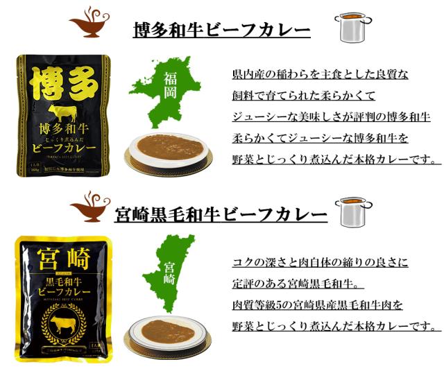 カレー レトルトカレー 8食セット ご当地カレー カレー 伊藤家の食卓