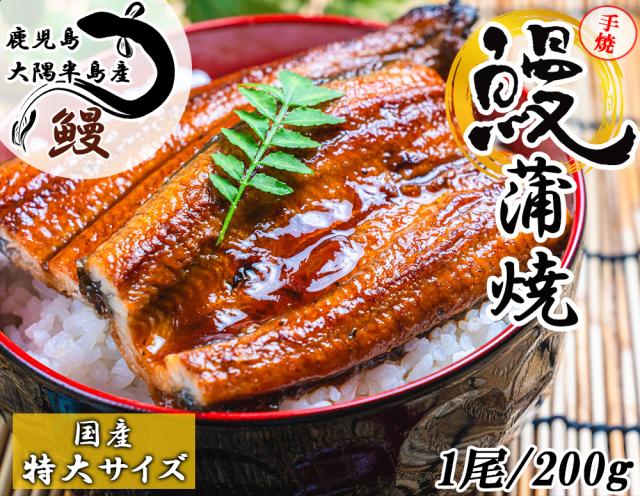 うなぎ 国産 うなぎ蒲焼 特大 1尾 200g 送料無料 手焼き 蒲焼 タレ付き 国産うなぎ うなぎ ウナギ 鰻 土用丑 丑の日 お中元 お歳暮 ギフト お取り寄せ 九州 鹿児島県産 伊藤家の食卓