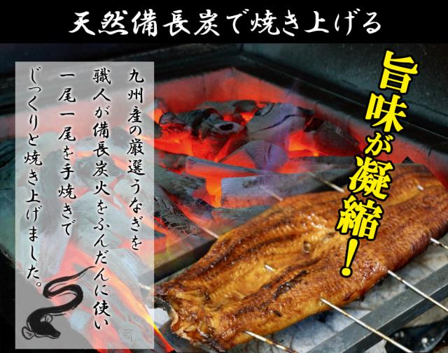 うなぎ 国産 うなぎ蒲焼 特大 1尾 200g 送料無料 手焼き 蒲焼 タレ付き 国産うなぎ うなぎ ウナギ 鰻 土用丑 丑の日 お中元 お歳暮 ギフト お取り寄せ 九州 鹿児島県産 伊藤家の食卓