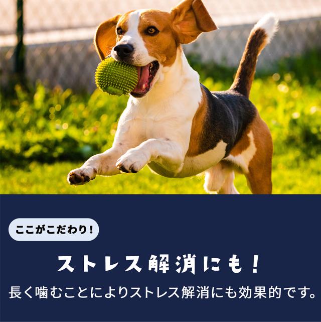 ジャーキー 犬 おやつ ドッグフード ペットフード 鴨軟骨 鴨むね肉巻き 35g 3パック 10パック 送料無料 犬用おやつ 鴨肉 乾燥肉 無添加 ITFC