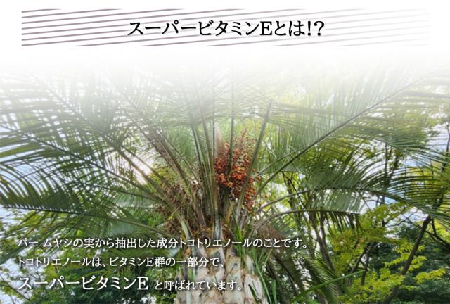 DHAクリルオイル 180粒入 送料無料 オメガ3 DHAEPA 健康食品 サプリ サプリメント 国内製造 ビタミンE マグロ由来 スーパービタミンE 健康 美容サプリ 伊藤家の食卓