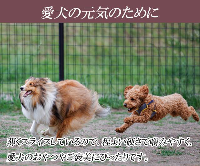 犬 おやつ ささみスライス 3Pセット (1P/15枚) 送料無料 全犬種用 ジャーキー 鶏ジャーキー 鶏ささみ ささみ ササミ 犬用おやつ ドッグフード ペットフード ドライ 乾燥肉 ITFC
