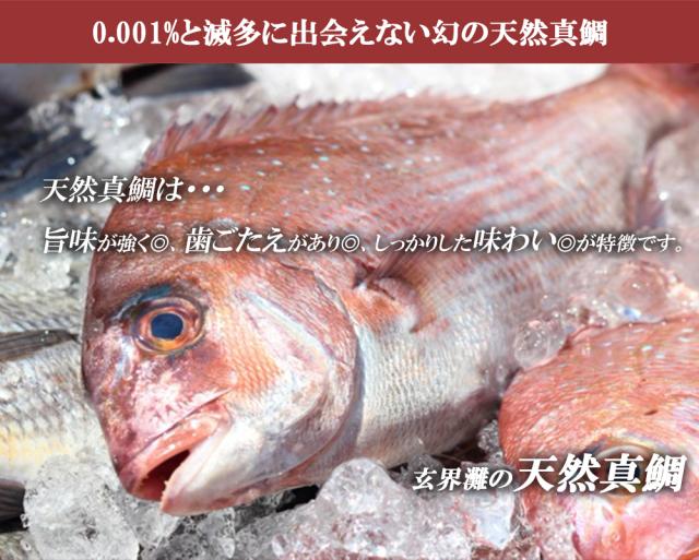 鯛漬け丼 漬け丼 海鮮丼 海鮮漬け丼 5食セット1P 70g 送料無料 天然真鯛 真鯛 鯛 タイ 鯛茶漬け 鯛めし 茶漬け 真空パック 小分け 保存食 ギフト 福岡県産 玄界灘 伊藤家の食卓