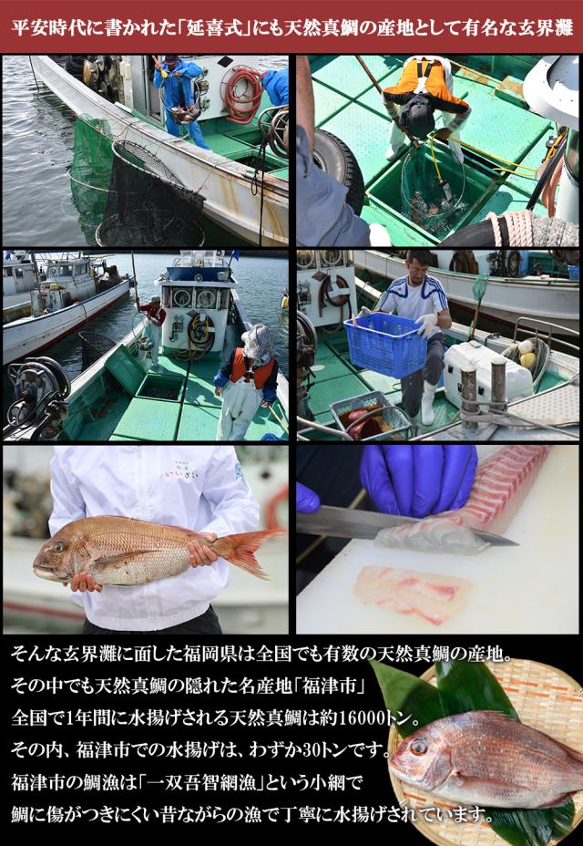 鯛漬け丼 漬け丼 海鮮丼 海鮮漬け丼 5食セット1P 70g 送料無料 天然真鯛 真鯛 鯛 タイ 鯛茶漬け 鯛めし 茶漬け 真空パック 小分け 保存食 ギフト 福岡県産 玄界灘 伊藤家の食卓