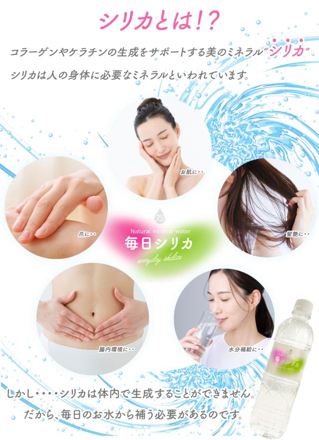 シリカ水 525ml 40本 送料無料 毎日シリカ シリカウォーター ミネラルウォーター 高濃度シリカ水 ケイ素水 天然水 天然シリカ 軟水 まとめ買い 防災備蓄 保存水 国産 大分県産 伊藤家の食卓