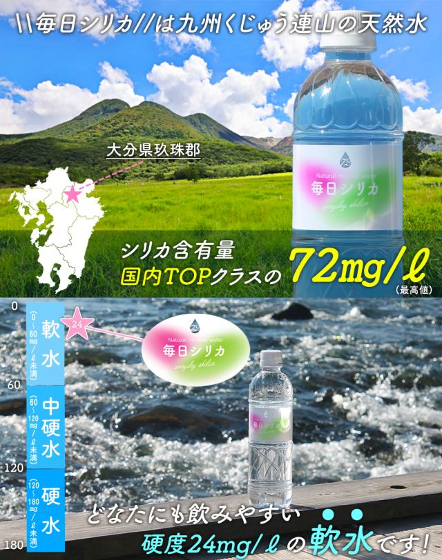 シリカ水 525ml 40本 送料無料 毎日シリカ シリカウォーター ミネラルウォーター 高濃度シリカ水 ケイ素水 天然水 天然シリカ 軟水 まとめ買い 防災備蓄 保存水 国産 大分県産 伊藤家の食卓