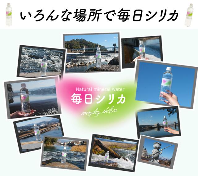 シリカ水 525ml 40本 送料無料 毎日シリカ シリカウォーター ミネラルウォーター 高濃度シリカ水 ケイ素水 天然水 天然シリカ 軟水 まとめ買い 防災備蓄 保存水 国産 大分県産 伊藤家の食卓