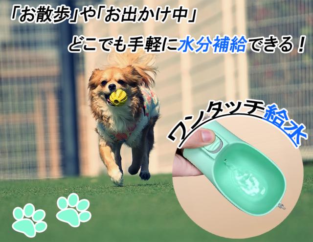 ペット用 ウォーターボトル 550ml 送料無料 ペット 水筒 犬 水筒 給水ボトル 犬猫用 ペット用 給水器 携帯用 水飲みボトル 水槽付き 犬水筒 水飲み器 ボトル 熱中症対策 犬グッズ 猫グッズ ITFC