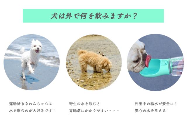 ペット用 ウォーターボトル 550ml 送料無料 ペット 水筒 犬 水筒 給水ボトル 犬猫用 ペット用 給水器 携帯用 水飲みボトル 水槽付き 犬水筒 水飲み器 ボトル 熱中症対策 犬グッズ 猫グッズ ITFC