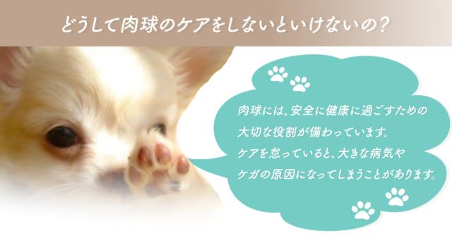 肉球クリーム 犬 猫 肉球 肉球ケア クリーム 40ml 馬油 国産馬油 100%国産天然素材 送料無料 PURE PAW CREAM ピュア ポー クリーム 保護 保湿 舐めても大丈夫 ITFC