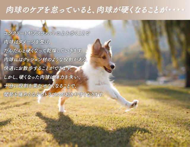 肉球クリーム 犬 猫 肉球 肉球ケア クリーム 40ml 馬油 国産馬油 100%国産天然素材 送料無料 PURE PAW CREAM ピュア ポー クリーム 保護 保湿 舐めても大丈夫 ITFC