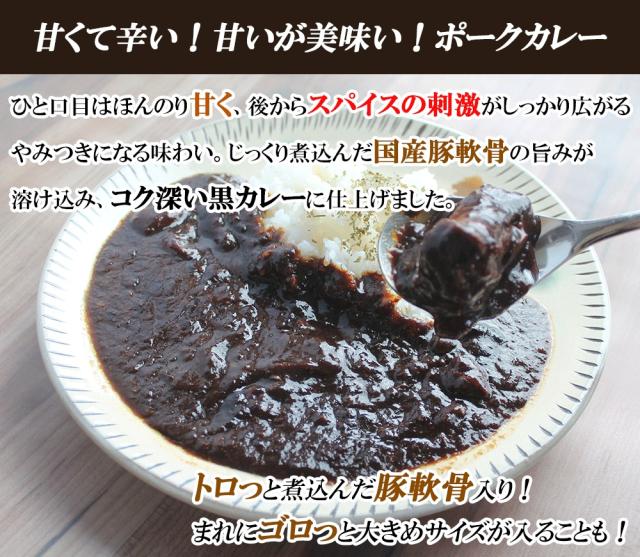 カレー ポークカレー 5Pセット 送料無料 スパイシーカレー 黒カレー スパイス 甘辛 ポーク おかず 冷凍 レンチン 個包装 国内製造 伊藤家の食卓
