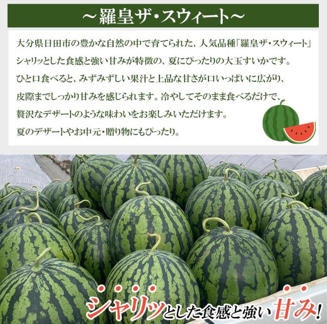 スイカ 大玉 羅皇(ラオウ)ザ・スウィ−ト 秀品 3L（約8〜9.5kg）送料無料 西瓜 日田スイカ 人気品種 すいか 家庭用 プレゼント 贈答用 贈り物 お取り寄せ 大分県産 伊藤家の食卓
