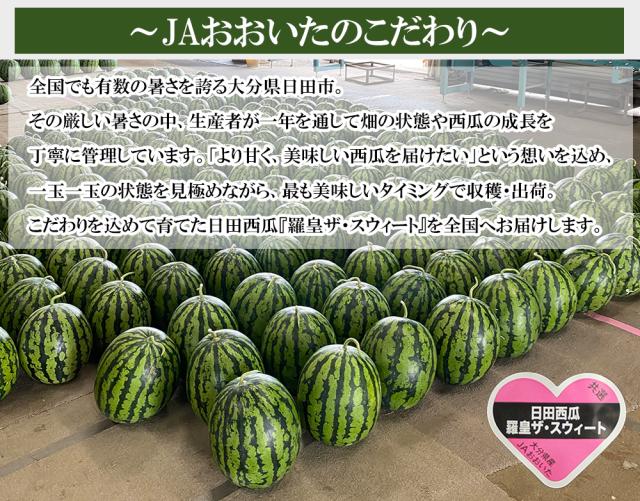 スイカ 大玉 羅皇(ラオウ)ザ・スウィ−ト 秀品 3L（約8〜9.5kg）送料無料 西瓜 日田スイカ 人気品種 すいか 家庭用 プレゼント 贈答用 贈り物 お取り寄せ 大分県産 伊藤家の食卓