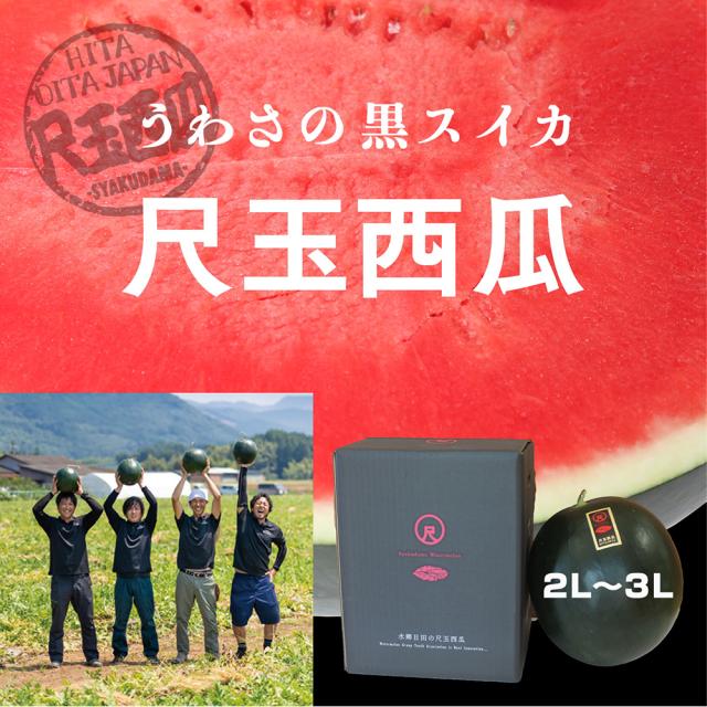 めざましテレビ ランキング1位 山田原スイカ 日田スイカ 日田西瓜 尺玉西瓜 黒スイカ 西瓜 大分日田 大玉 伊藤家の食卓