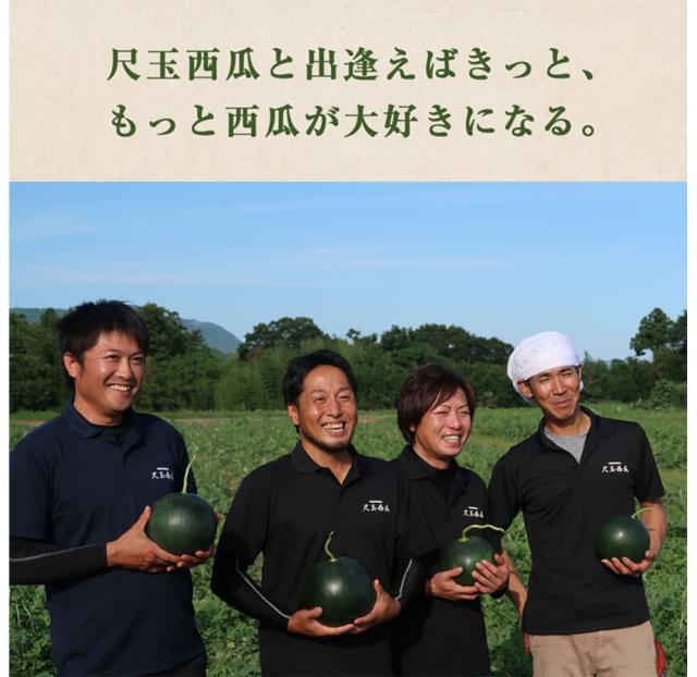 スイカ 日田スイカ 夢色酔夏 大玉 秀品 3L（約8〜9.5kg）種少 御中元 家庭用 プレゼント 贈答用 御祝 高級 贈り物 御中元 お取り寄せグルメ 日田西瓜 めざましテレビまいにちランキング１位 SNS映え 伊藤家の食卓