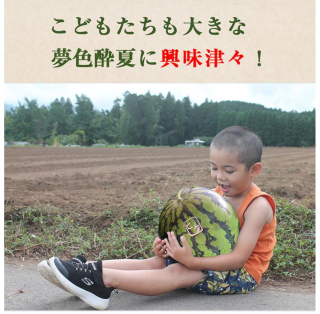 スイカ 日田スイカ 夢色酔夏 大玉 秀品 3L（約8〜9.5kg）種少 御中元 家庭用 プレゼント 贈答用 御祝 高級 贈り物 御中元 お取り寄せグルメ 日田西瓜 めざましテレビまいにちランキング１位 SNS映え 伊藤家の食卓