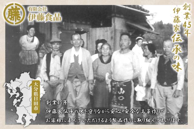 高菜 高菜漬け 高菜漬 漬物 漬け物 国産 送料無料 辛子高菜の油炒め 120g 高菜油炒め 熟成高菜 乳酸発酵 香ばしい 醤油味 九州の家庭の味 九州名菜 伊藤家の食卓