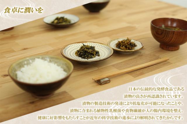 高菜 高菜漬け 高菜漬 漬物 漬け物 国産 送料無料 辛子高菜の油炒め 120g 高菜油炒め 熟成高菜 乳酸発酵 香ばしい 醤油味 九州の家庭の味 九州名菜 伊藤家の食卓