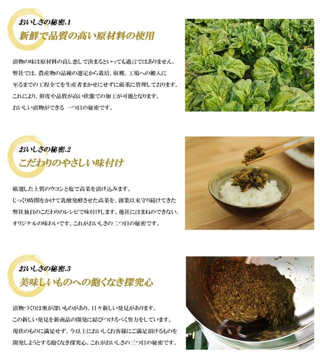 高菜 高菜漬け 高菜漬 漬物 漬け物 国産 送料無料 辛子高菜の油炒め 120g 高菜油炒め 熟成高菜 乳酸発酵 香ばしい 醤油味 九州の家庭の味 九州名菜 伊藤家の食卓
