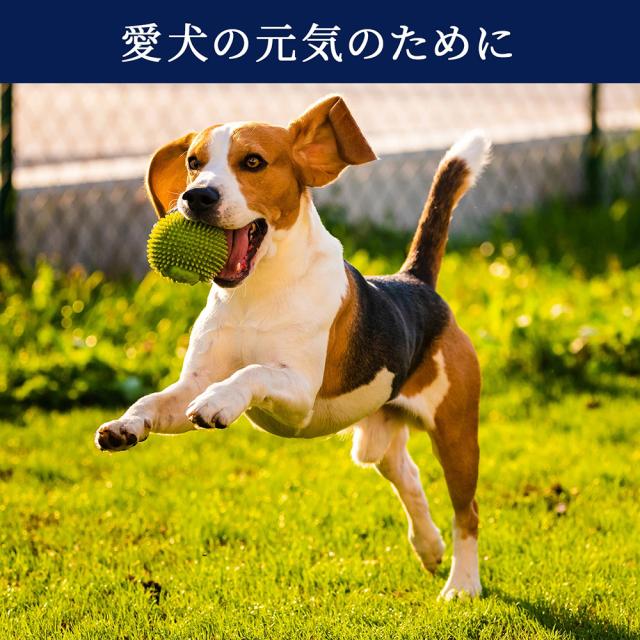 ジャーキー 犬 おやつ 鶏むね肉ジャーキー 70g 送料無料 鶏むね肉ハード薄切り 犬用おやつ 鶏ジャーキー 鶏スライス 鴨胸肉 ドッグフード 無添加 無着色 ITFC