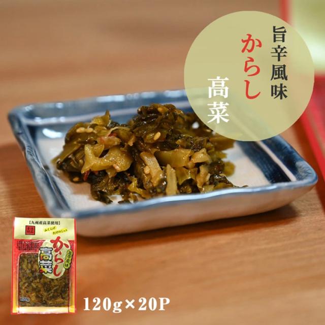 高菜 高菜漬け 高菜漬 漬物 漬け物 国産 送料無料 旨辛からし高菜 120g 山くらげ たけのこ入り 辛子高菜 熟成高菜 乳酸発酵 香ばしい 九州の家庭の味 九州名菜 伊藤家の食卓