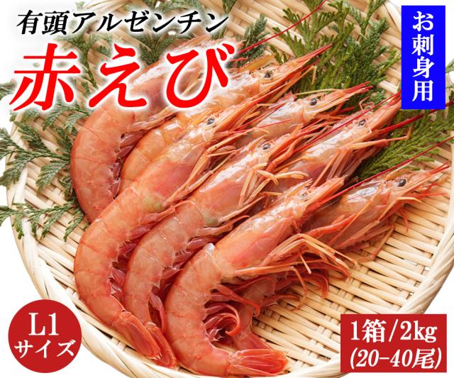 有頭アルゼンチン赤えび 1箱 2? (1箱/20-40尾) お刺身用 伊藤家の食卓