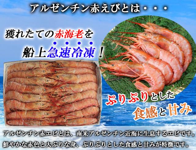 有頭アルゼンチン赤えび 1箱 2? (1箱/20-40尾) お刺身用 伊藤家の食卓