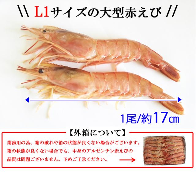 有頭アルゼンチン赤えび 1箱 2? (1箱/20-40尾) お刺身用 伊藤家の食卓