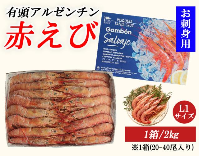 有頭アルゼンチン赤えび 1箱 2? (1箱/20-40尾) お刺身用 伊藤家の食卓