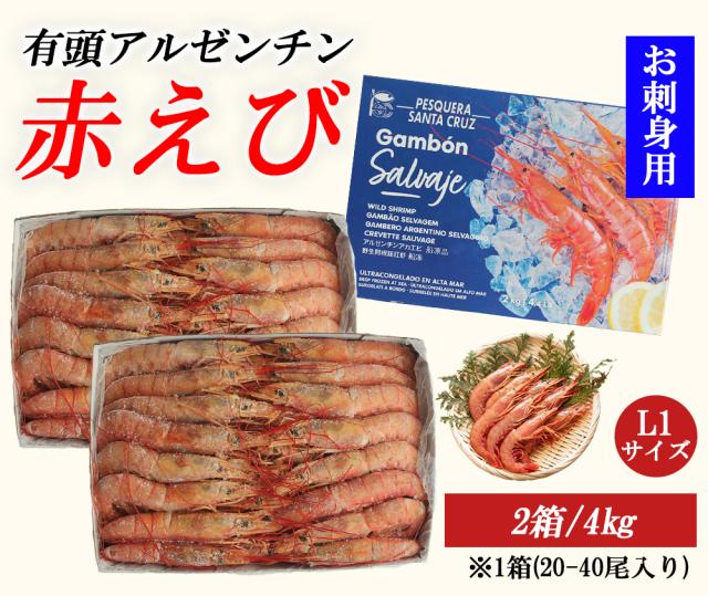 有頭アルゼンチン赤えび 1箱 2? (1箱/20-40尾) お刺身用 伊藤家の食卓