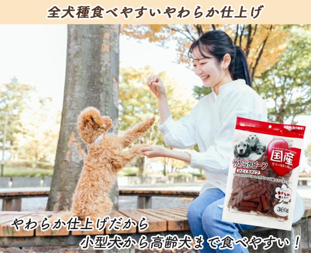 犬 おやつ やわらかビーフ ひとくちタイプ 1P 360g 送料無料 全犬種用 犬用おやつ ドッグフード ペットフード 乾燥肉 国産素材使用 国産 ITFC