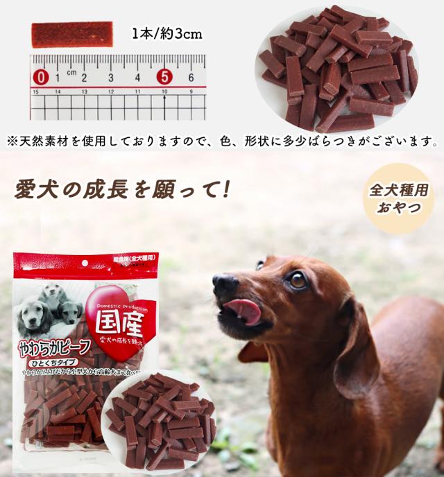 犬 おやつ やわらかビーフ ひとくちタイプ 1P 360g 送料無料 全犬種用 犬用おやつ ドッグフード ペットフード 乾燥肉 国産素材使用 国産 ITFC