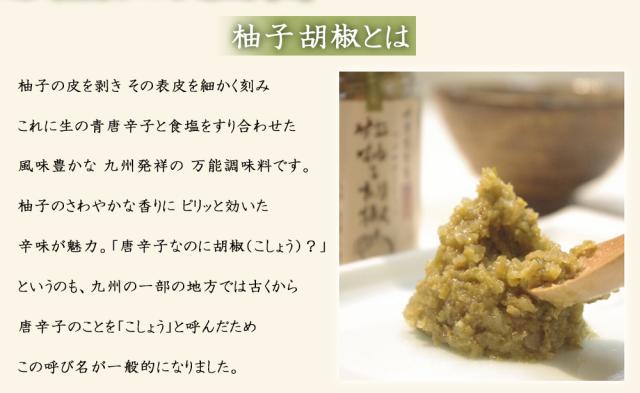 柚子胡椒 柚子こしょう 2P (1P/60g) 送料無料 ゆず胡椒 ゆず 柚子 こしょう 青唐辛子 チューブ パウチ 調味料 国産 川津食品 大分県産 伊藤家の食卓