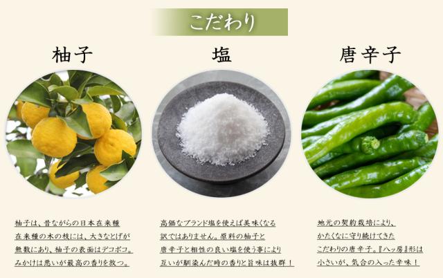 柚子胡椒 柚子こしょう 2P (1P/60g) 送料無料 ゆず胡椒 ゆず 柚子 こしょう 青唐辛子 チューブ パウチ 調味料 国産 川津食品 大分県産 伊藤家の食卓