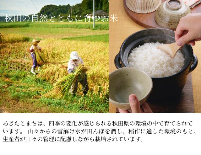 秋田産あきたこまち 白米 産地 イメージ